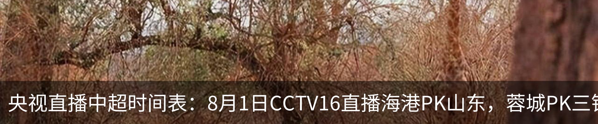 资讯中心